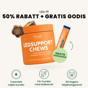 Avancerad Ledsupport