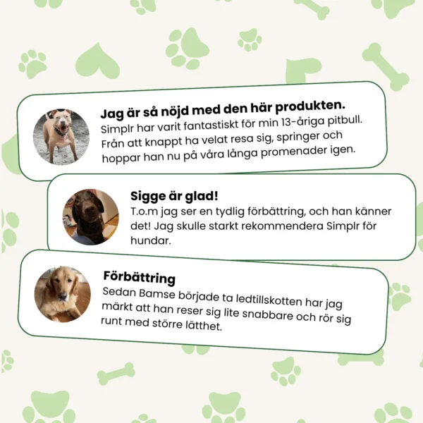 Avancerad Ledsupport - Bild 6