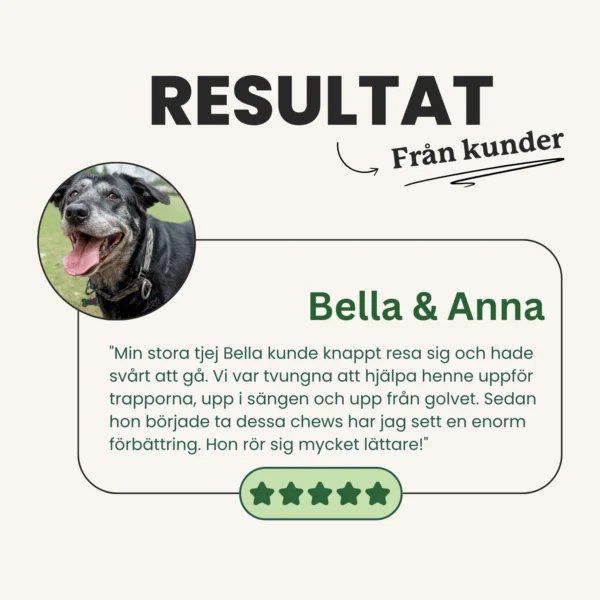 Avancerad Ledsupport - Bild 5