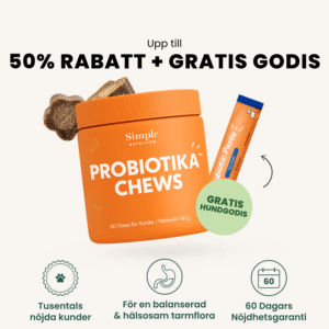 Probiotika Chews