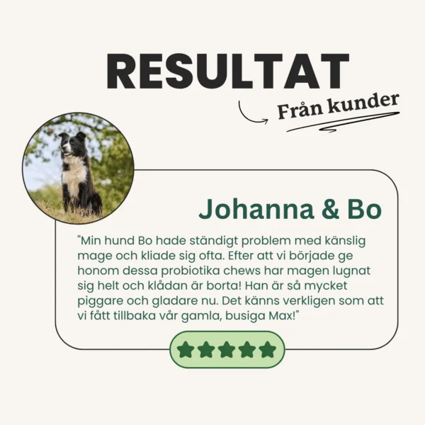 Probiotika Chews - Bild 5